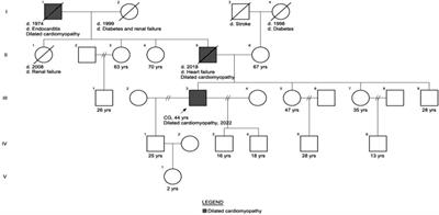 TTN novel splice variant in familial dilated cardiomyopathy and splice variants review: a case report